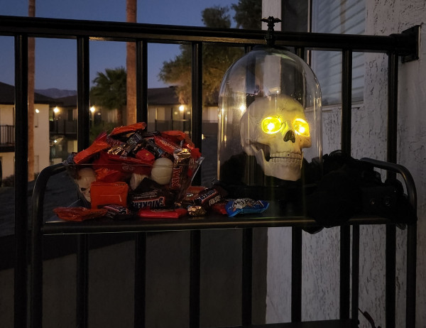 Skeleton Halloween Decoration Outside